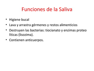Funciones de la Saliva
• Higiene bucal
• Lava y arrastra gérmenes y restos alimenticios
• Destruyen las bacterias: tiocianato y enzimas proteo
líticas (lisozima).
• Contienen anticuerpos.
 
