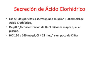 Secreción de Ácido Clorhídrico
• Las células parietales secretan una solución 160 mmol/l de
Ácido Clorhídrico.
• De pH 0,8 concentración de H+ 3 millones mayor que el
plasma.
• HCl 150 a 160 meq/l, Cl K 15 meq/l y un poco de Cl Na
 