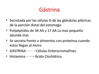 Gástrina
• Secretada por las células G de las glándulas pilóricas
de la porción distal del estomago
• Polipéptidos de 34 AA y 17 AA La mas pequeña
abunda mas
• Se secreta frente a alimentos con proteínas cuando
estos llegan al Antro
• GASTRINA Células Enterocromafines.
• Histamina Ácido Clorhídrico
 