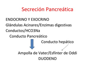 Secreción Pancreática
ENDOCRINO Y EXOCRINO
Glándulas Acinares/Enzimas digestivas
Conductos/HCO3Na
Conducto Pancreático
Conducto hepático
Ampolla de Vater/Esfínter de Oddi
DUODENO
 