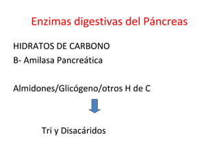 Enzimas digestivas del Páncreas
HIDRATOS DE CARBONO
B- Amilasa Pancreática
Almidones/Glicógeno/otros H de C
Tri y Disacáridos
 