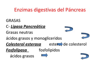 Enzimas digestivas del Páncreas
GRASAS
C- Lipasa Pancreática
Grasas neutras
ácidos grasos y monogliceridos
Colesterol esterasa esteres de colesterol
Fosfolipasa fosfolipidos
ácidos grasos
 