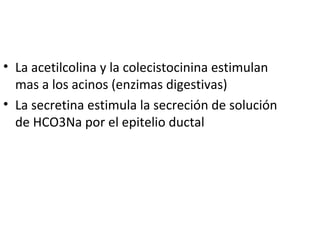 • La acetilcolina y la colecistocinina estimulan
mas a los acinos (enzimas digestivas)
• La secretina estimula la secreción de solución
de HCO3Na por el epitelio ductal
 
