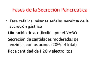 Fases de la Secreción Pancreática
• Fase cefalica: mismas señales nerviosa de la
secreción gástrica
Liberación de acetilcolina por el VAGO
Secreción de cantidades moderadas de
enzimas por los acinos (20%del total)
Poca cantidad de H2O y electrolitos
 
