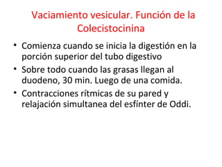 Vaciamiento vesicular. Función de la
Colecistocinina
• Comienza cuando se inicia la digestión en la
porción superior del tubo digestivo
• Sobre todo cuando las grasas llegan al
duodeno, 30 min. Luego de una comida.
• Contracciones rítmicas de su pared y
relajación simultanea del esfínter de Oddi.
 