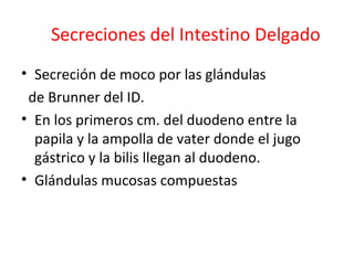 Secreciones del Intestino Delgado
• Secreción de moco por las glándulas
de Brunner del ID.
• En los primeros cm. del duodeno entre la
papila y la ampolla de vater donde el jugo
gástrico y la bilis llegan al duodeno.
• Glándulas mucosas compuestas
 