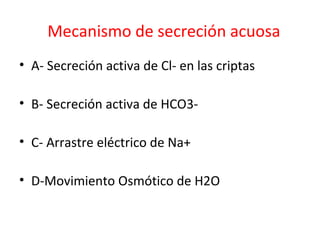 Mecanismo de secreción acuosa
• A- Secreción activa de Cl- en las criptas
• B- Secreción activa de HCO3-
• C- Arrastre eléctrico de Na+
• D-Movimiento Osmótico de H2O
 