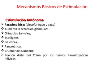 Estimulación AutónomaEstimulación Autónoma
 Parasimpática: (glosofaríngeo y vago)
 Aumenta la secreción glandular:
 Glándulas Salivales,
 Esofágicas,
 Gástricas,
 Pancreáticas
 Brunner del Duodeno
 Porción distal del Colon por los nervios Parasimpáticos
Pélvicos
Mecanismos Básicos de Estimulación
 