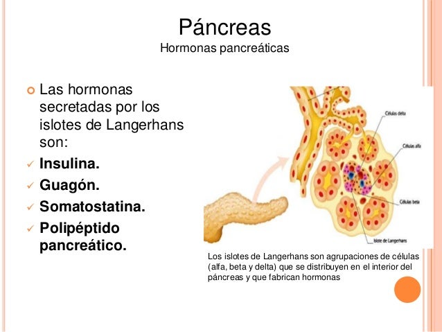 Nutrición animal