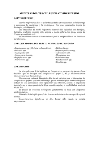 MUESTRAS DEL TRACTO RESPIRATORIO SUPERIOR
1.0 INTRODUCCIÓN
Las vías respiratorias altas se extienden desde los orificios nasales hacia la laringe
y comprende la nasofaringe y la orofaringe,a, los senos paranasales, trompa de
Eustaquio y el oído medio.
Las infecciones del tracto respiratorio superior más frecuentes son: laringitis,
faringitis, epiglotitis, sinusitis, otitis externa y media, difteria, tos ferina, angina de
Vincent y candidiasis oral.
Es fundamental conocer la flora comensal para la interpretación de los resultados
de laboratorio.
2.0 FLORA NORMAL DEL TRACTO RESPIRATORIO SUPERIOR
-Streptococcus spp (alfa, beta, no hemolíticos) -Veillonella spp.
-Neisseria spp. -Peptostreptococcus spp.
-Haemophilus spp. -Actynomyces spp.
-Corynebacterium spp. -Mycoplasma spp.
-Staphylococcus spp -Bacteroides spp.
-Micrococcus spp. -Fusobacterium spp.
-Candida spp.
3.0 FARINGITIS
La principal causa de faringitis es por Streptococcus pyogenes (grupo A). Otras
bacterias que se incluyen son: Streptococcus grupo C, G, y Arcanobacterium
(Corynebacterium) haemolyticum.
El examen de rutina de laboratorio debe incluir métodos para el diagnóstico de
Streptococcus grupo A que sean sensibles ya que un número bajo de esta bacteria puede
indicar no solo colonización sino representar una infección, además es importante
detectarlo por la reemergencia de la fiebre reumática aguda y la posibilidad de un shock
tóxico like.
El estudio de Neisseria meningitidis generalmente se hace con propósitos
epidemiológicos.
El estudio de faringitis gonocócica debe ser solicitada en forma específica por el
médico.
Corynebacterium diphtheriae se debe buscar sólo cuando se solicita
expresamente.
 