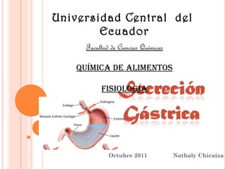 Octubre 2011  Nathaly Chicaiza Universidad Central  del  Ecuador Facultad de Ciencias Químicas Química de alimentos FISIOLOGÍA 