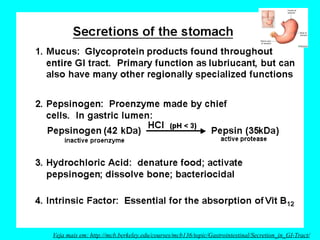 Veja mais em: http://mcb.berkeley.edu/courses/mcb136/topic/Gastrointestinal/Secretion_in_GI-Tract/ 