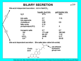 Veja mais em: http://mcb.berkeley.edu/courses/mcb136/topic/Gastrointestinal/Secretion_in_GI-Tract/ 