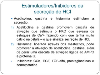 Estimuladores/Inibidores da
            secreção de HCl
 Acetilcolina,   gastrina   e   histamina   estimulam   a
  secreção.
1) Acetilcolina e gastrina promovem cascata de
    ativação que estimula o PKC que esvazia os
    estoques de Ca²+ fazendo com que tenha muito
    cálcio na célula – o que sinaliza secreção de HCl.
2) Histamina: liberada através dos mastócitos, pode
    promover a ativação de acetilcolina, gastrina, além
    de gerar uma cascata de ativação ligada ao AMPC
    e proteína G.
•   Inibidores: CCK, EGF, TGF-alfa, prostaglandinas e
    somatostatina.
 