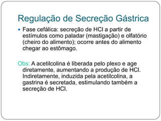 Regulação de Secreção Gástrica
 Fase cefálica: secreção de HCl a partir de
 estímulos como paladar (mastigação) e olfatório
 (cheiro do alimento); ocorre antes do alimento
 chegar ao estômago.

Obs: A acetilcolina é liberada pelo plexo e age
 diretamente, aumentando a produção de HCl.
 Indiretamente, induzida pela acetilcolina, a
 gastrina é secretada, estimulando também a
 secreção de HCl.
 