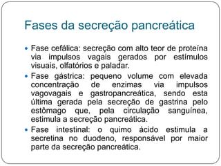Fases da secreção pancreática
 Fase cefálica: secreção com alto teor de proteína
  via impulsos vagais gerados por estímulos
  visuais, olfatórios e paladar.
 Fase gástrica: pequeno volume com elevada
  concentração       de    enzimas via impulsos
  vagovagais e gastropancreática, sendo esta
  última gerada pela secreção de gastrina pelo
  estômago que, pela circulação sanguínea,
  estimula a secreção pancreática.
 Fase intestinal: o quimo ácido estimula a
  secretina no duodeno, responsável por maior
  parte da secreção pancreática.
 