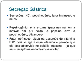 Secreção Gástrica
 Secreções: HCl, pepsinogênio, fator intrínseco e
 muco.

 Pepsinogênio: é a enzima (pepsina) na forma
  inativa; em pH ácido, a pepsina cliva o
  pepsinogênio, ativando-o.
 Fator intrínseco: ajuda na absorção de vitamina
  B12, pois se liga a essa vitamina e permite que
  ela seja absorvida no epitélio intestinal – já que
  seus receptores encontram-se no íleo.
 