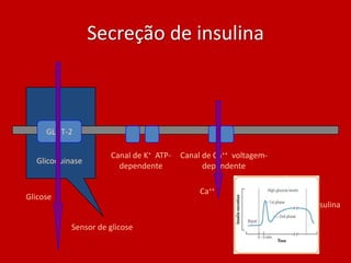 Secreção de insulina



     GLUT-2

                     Canal de K+ ATP-   Canal de Ca++ voltagem-
  Glicoquinase
                       dependente             dependente

                                             Ca++
Glicose
                                                                  Insulina

           Sensor de glicose
 