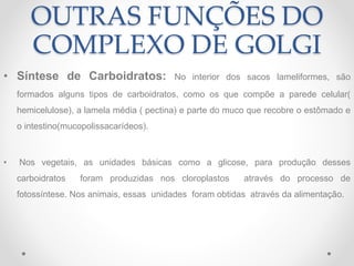 OUTRAS FUNÇÕES DO
COMPLEXO DE GOLGI
• Síntese de Carboidratos: No interior dos sacos lameliformes, são
formados alguns tipos de carboidratos, como os que compõe a parede celular(
hemicelulose), a lamela média ( pectina) e parte do muco que recobre o estômado e
o intestino(mucopolissacarídeos).
• Nos vegetais, as unidades básicas como a glicose, para produção desses
carboidratos foram produzidas nos cloroplastos através do processo de
fotossíntese. Nos animais, essas unidades foram obtidas através da alimentação.
 