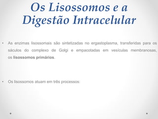 Os Lisossomos e a
Digestão Intracelular
• As enzimas lisossomais são sintetizadas no ergastoplasma, transferidas para os
sáculos do complexo de Golgi e empacotadas em vesículas membranosas,
os lisossomos primários.
• Os lisossomos atuam em três processos:
 