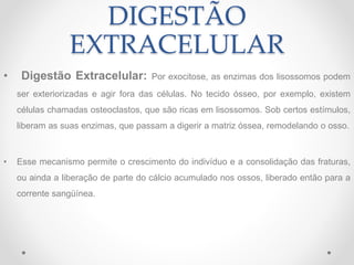 DIGESTÃO
EXTRACELULAR
• Digestão Extracelular: Por exocitose, as enzimas dos lisossomos podem
ser exteriorizadas e agir fora das células. No tecido ósseo, por exemplo, existem
células chamadas osteoclastos, que são ricas em lisossomos. Sob certos estímulos,
liberam as suas enzimas, que passam a digerir a matriz óssea, remodelando o osso.
• Esse mecanismo permite o crescimento do indivíduo e a consolidação das fraturas,
ou ainda a liberação de parte do cálcio acumulado nos ossos, liberado então para a
corrente sangüínea.
 