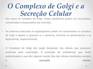 O Complexo de Golgi e a
Secreção Celular
• Nos sacos do complexo de Golgi, muitas substâncias podem ser acumuladas,
concentradas e empacotadas nas vesículas.
• As proteínas produzidas no ergastoplasma podem ser concentradas no complexo
de Golgi e ligadas a açúcares ou a gorduras, formando as glicoproteínas e as
lipoproteínas, respectivamente.
• O Complexo de Golgi tem papel destacado nas células que produzem
proteínas para exportação. A produção de substâncias que serão
exteriorizadas e que têm alguma função fora das células produtoras constitui
a secreção celular.
 