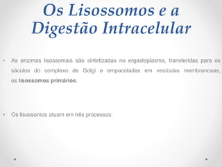 Os Lisossomos e a
Digestão Intracelular
• As enzimas lisossomais são sintetizadas no ergastoplasma, transferidas para os
s...