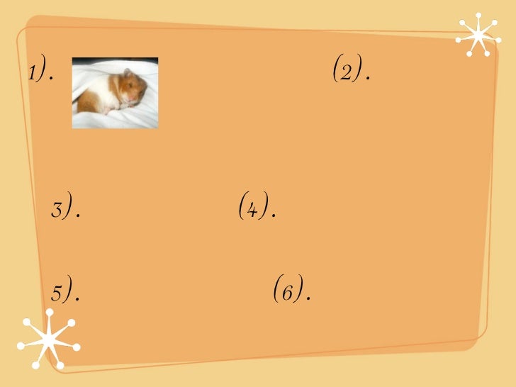 Christmas Quiz