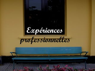 Expériences
professionnelles

 