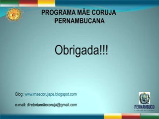 PROGRAMA MÃE CORUJA
                  PERNAMBUCANA



                      Obrigada!!!


Blog: www.maecorujape.blogspot.com

e-mail: diretoriamãecoruja@gmail.com
 