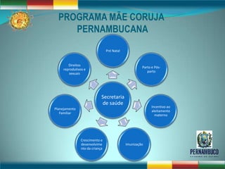 PROGRAMA MÃE CORUJA
     PERNAMBUCANA
                                Pré Natal


        Direitos
                                                     Parto e Pós-
     reprodutivos e
                                                        parto
        sexuais




                            Secretaria
                            de saúde
                                                           Incentivo ao
Planejamento
                                                           aleitamento
   Familiar
                                                             materno




               Crescimento e
               desenvolvime                 Imunização
               nto da criança
 