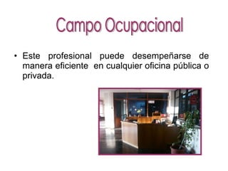 Este profesional puede desempeñarse de manera eficiente en cualquier oficina pública o privada. Campo Ocupacional