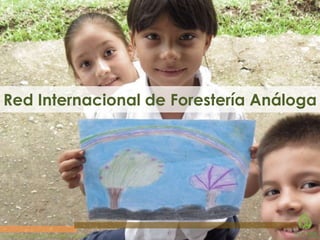 Red Internacional de Forestería Análoga

Restoring the planet’s life-support systems.

 