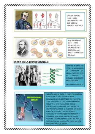 ETAPA DE LA BIOTECNOLOGÍA:
GREGOR MENDEL
(1882 - 1884)
DESCRIBIÓ LAS LEYES
QUE RIGEN LA
HERENCIA BIOLÓGICA
WALTER FLEMING
(1843 - 1905)
IDENTIFICÓ LOS
CROMOSOMAS Y
DESCUBRIÓ LAS
FASES DE LA MITOSIS
CELULAR.
WATSON Y CRICK EN
1953 DESCUBRIIERON
LA ESTRUCTURA DEL
ADN, A PARTIR DE ESTO
HA SURGIDO LA
BIOLOGÍA MOLECULAR,
BIOTECNOLOGÍA E
INGENIERÍA GENÉTICA.
EN EL AÑO 1985 SE INICIÓ EL PROYECTO GENOMA
HUMANO EN EL AÑO 2000 YA SE HABÍA
CULMINADO CON EL BORRADOR DEL PROYECTO.
ESTOS DÍAS (2007) YA TODO ESTÁ CULMINADO
INCLUSIVE SE ESTÁ TRABAJANDO CON EL
GENOMA DE LOS ANIMALES. LOS CIENTÍFICOS
HAN ENCONTRADO QUE EL 99,99% DE LOS GENES
SON IDÉNTICOS PARA TODOS LOS SERES
HUMANOS, LA VARIACIÓN DE UNA PERSONA Y
OTRA ES DE SOLO 0,01%. ES POR ESA RAZÓN
PARA QUE EN LA PRUEBA BIOLÓGICA DEL ADN, ES
POSITIVO CUANDO LA RELACIÓN ENTRE LOS DOS
INDIVIDUOS PASA DEL 99,99%.
 