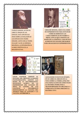 CHARLES DARWIN, AUTOR DEL
LIBRO EL ORIGEN DE LAS
ESPECIES. EN ÉL EXPUSO SUS
IDEAS SOBRE LA EVOLUCIÓN DE
LAS ESPECIES ESTA TEORÍA
ORIGINÓ, JUNTO CON LA TEORÍA
CELULAR Y LA DE LA HERENCIA
BIOLÓGICA, LA INTEGRACIÓN DE
LA BASE CIENTÍFICA DE LA
BIOLOGÍA ACTUAL.
GREGOR MENDEL, HIZO UNA SERIE
DE EXPERIMENTOS PARA ESTUDIAR
CÓMO SE HEREDAN LAS
CARACTERÍSTICAS DE PADRES A
HIJOS, CON LO QUE ASENTÓ LAS
BASES DE LA GENÉTICA. UNO DE SUS
ACIERTOS FUE ELEGIR CHÍCHAROS
PARA REALIZAR SUS EXPERIMENTOS.
LOUIS PASTEUR, EMPEZÓ EL
ESTUDIO DEL PROCESO LLAMADO
PASTEURIZACIÓN. ASENTÓ LAS
BASES DE LA BACTERIOLOGÍA,
INVESTIGÓ ACERCA DE LA
ENFERMEDAD DEL GUSANO DE
SEDA; EL CÓLERA DE LAS
GALLINAS Y DESARROLLÓ
EXITOSAMENTE LA VACUNA DEL
ÁNTRAX PARA EL GANADO Y LA
VACUNA ANTIRRÁBICA.
ALEXANDER IVÁNOVICH OPARIN,
EN SU LIBRO EL ORIGEN DE LA
VIDA SOBRE LA TIERRA (1936) DIO
UNA EXPLICACIÓN DE CÓMO PUDO
LA MATERIA INORGÁNICA
TRANSFORMARSE EN ORGÁNICA Y
CÓMO ESTA ÚLTIMA ORIGINÓ LA
MATERIA VIVA
 