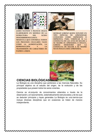 CIENCIAS BIOLÓGICAS
La Biología es una disciplina que pertenece a las Ciencias Naturales. Su
principal objetivo es el estudio del origen, de la evolución y de las
propiedades que poseen todos los seres vivientes.
Ciencia es el conjunto de conocimientos obtenidos a través de la
observación y el razonamiento, sistemáticamente estructurados y de los que
se deducen principios y leyes generales. La Biología es una ciencia que
incluye diversas disciplinas que en ocasiones se tratan de manera
independiente.
JAMES WATSON Y FRANCIS CRACK
ELABORARON UN MODELO DE LA
ESTRUCTURA DEL ÁCIDO
DESOXIRRIBONUCLEICO,
MOLÉCULA QUE CONTROLA TODOS
LOS PROCESOS CELULARES TALES
COMO LA ALIMENTACIÓN, LA
REPRODUCCIÓN Y LA
TRANSMISIÓN DE CARACTERES DE
PADRES A HIJOS.
HONRAD LORENZ QUIEN ESTUDIÓ UN
TIPO ESPECIAL DE APRENDIZAJE
CONOCIDO COMO IMPRESIÓN O
IMPRONTA. PARA VERIFICAR SI LA
CONDUCTA DE LAS AVES DE SEGUIR A
SU MADRE ES APRENDIDA O INNATA.
LORENZ DEMOSTRÓ QUE LA
CONDUCTA DE SEGUIR A SU MADRE
NO ES INNATA SINO APRENDIDA.
 