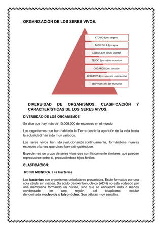 ORGANIZACIÓN DE LOS SERES VIVOS.
DIVERSIDAD DE ORGANISMOS, CLASIFICACIÓN Y
CARACTERÍSTICAS DE LOS SERES VIVOS.
DIVERSIDAD DE LOS ORGANISMOS
Se dice que hay más de 10.000.000 de especies en el mundo.
Los organismos que han habitado la Tierra desde la aparición de la vida hasta
la actualidad han sido muy variados.
Los seres vivos han ido evolucionando continuamente, formándose nuevas
especies a la vez que otras iban extinguiéndose.
Especie.- es un grupo de seres vivos que son físicamente similares que pueden
reproducirse entre sí, produciéndose hijos fértiles.
CLASFICACION:
REINO MONERA. Las bacterias
Las bacterias son organismos unicelulares procariotas. Están formatos por una
sola célula sin núcleo. Su ácido desoxiribonucleico (ADN) no está rodeado por
una membrana formando un núcleo, sino que se encuentra más o menos
condensado en una región del citoplasma celular
denominada nucleoide o falsonúcleo. Son células muy sencillas.
ATOMO Ejm: oxigeno
MOLECULA Ejm:agua
CELULA Ejm celula vegetal
TEJIDO Ejm:tejido muscular
ORGANOS Ejm: corazon
APARATOS Ejm: aparato respiratorio
SER VIVO Ejm: Ser Humano
 