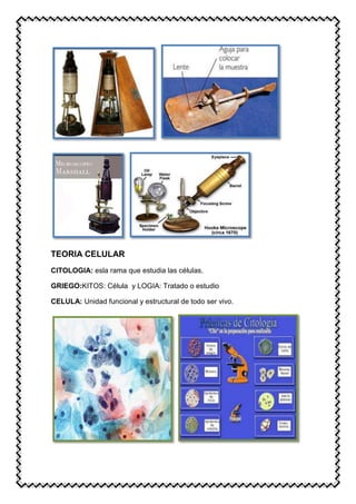 TEORIA CELULAR
CITOLOGIA: esla rama que estudia las células.
GRIEGO:KITOS: Célula y LOGIA: Tratado o estudio
CELULA: Unidad funcional y estructural de todo ser vivo.
 