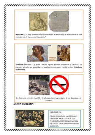 ETAPA MODERNA:
Hipócrates (S. V a.C), quien escribió varios tratados de Medicina y de Bioética que se hace
mención con el “Juramento Hipocrático.”
quien escribió varios tratados de Medicina y de Bioética que se hace mención con el
“Juramento Hipocrático.”
Hipócrates (S. V a.C),
Aristóteles (384-322 a.C.), quién estudió algunos sistemas anatómicos y clasificó a las
plantas y animales que abundaban en aquellos tiempos, quién escribió su libro Historia de
los Animales.
En Alejandría, entre los años 300 y 30 a.C., decretaron la prohibición de con disecciones de
cadáveres,
EN EL SIGLO XIV :
CON LA CREACIÓN DE UNIVERSIDADES
EN ESPAÑA, ITALIA Y FRANCIA. LOS
ESTUDIANTES DE MEDICINA SE VIERON
OBLIGADOS A REALIZAR DISECCIONES EN
CADÁVERES.
 