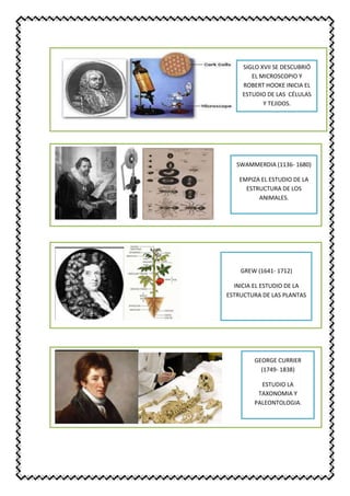 SIGLO XVII SE DESCUBRIÓ
EL MICROSCOPIO Y
ROBERT HOOKE INICIA EL
ESTUDIO DE LAS CÉLULAS
Y TEJIDOS.
SWAMMERDIA (1136- 1680)
EMPIZA EL ESTUDIO DE LA
ESTRUCTURA DE LOS
ANIMALES.
GREW (1641- 1712)
INICIA EL ESTUDIO DE LA
ESTRUCTURA DE LAS PLANTAS
GEORGE CURRIER
(1749- 1838)
ESTUDIO LA
TAXONOMIA Y
PALEONTOLOGIA.
 