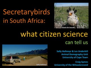 Secretarybirds
in South Africa:
what citizen science
can tell us
Sally Hofmeyr & Les Underhill
Animal Demography Unit
University of Cape Town
Craig Symes
University of the Witwatersrand
Dawie de Swardt
Sally Hofmeyr
 