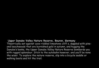 Upper Danube Valley Nature Reserve, Beuron, Germany 
Theatrically set against cave-riddled limestone cliff s, dappled with pine-and 
beechwoods that are burnished gold in autumn, and hugging the 
Danube’s banks, the Upper Danube Valley Nature Reserve bombards you 
with rugged splendour. Stick to the autobahn however, and you’ll be none 
the wiser. To explore the nature reserve, slip into a bicycle saddle or 
walking boots and hit the trail. 
 