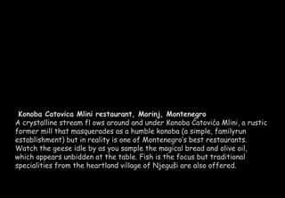 Konoba Catovica Mlini restaurant, Morinj, Montenegro 
A crystalline stream fl ows around and under Konoba Ćatovića Mlini, a rustic 
former mill that masquerades as a humble konoba (a simple, familyrun 
establishment) but in reality is one of Montenegro’s best restaurants. 
Watch the geese idle by as you sample the magical bread and olive oil, 
which appears unbidden at the table. Fish is the focus but traditional 
specialities from the heartland village of Njeguši are also offered. 
 