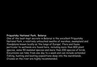 Pripyatsky National Park, Belarus 
One of the best-kept secrets in Belarus is the excellent Pripyatsky 
National Park, a relatively untouched swathe of marshes, swampland and 
floodplains known locally as ‘the lungs of Europe’. Flora and fauna 
particular to wetlands are found here, including more than 800 plant 
species, some 50 mammal species and more than 200 species of birds. 
Excursions can take from one day to a week and can include extended 
fishing, hunting and boating expeditions deep into the marshlands. 
Cruises on the river are highly recommended. 
 