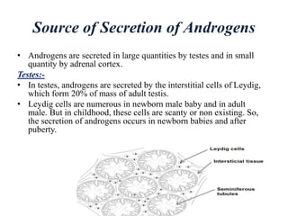 SECRETION,TRANSPORT_AND_METABOLISM_OF_TESTIS_HORMONE RAKESH(1).pptx