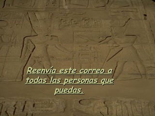 Reenvía este correo a todas las personas que puedas. 