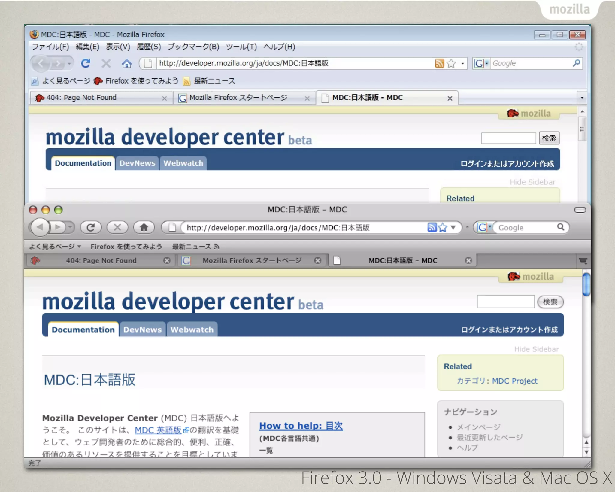 Firefox 3.0 - Windows Visata & Mac OS X
 