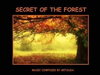 SECRET OF THE FOREST MUSIC COMPOSED BY MITSUDA 