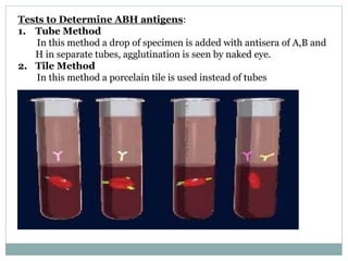 Tests to Determine ABH antigens:
1. Tube Method
In this method a drop of specimen is added with antisera of A,B and
H in separate tubes, agglutination is seen by naked eye.
2. Tile Method
In this method a porcelain tile is used instead of tubes
 