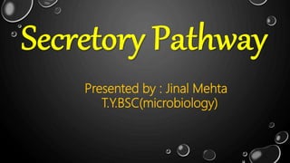 Presented by : Jinal Mehta
T.Y.BSC(microbiology)
 